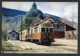 Carte-photo Moderne "Tramway Des Chemins De Fer De Provence - Ligne Nice-Digne - Tram Années 50" - Strassenbahnen