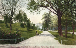 View In The Botanical Garden, Bronx Park - Bronx