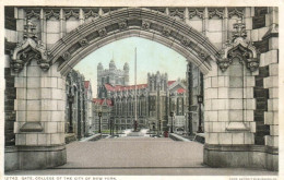 Gate, College Of The City Of New York, Detroit Publishing Co., 12742 - Enseñanza, Escuelas Y Universidades