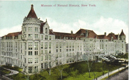 Museum Of Natural History - Musées