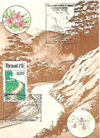 Brasil & Marcofilia, Centenário Da Estrada Da Graciosa,  EXPIPA, III Expo De Orquídeas, Panagua 1973 (68688) - Covers & Documents