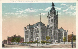 Buffalo/City And County Hall, 6140, 1910? - Buffalo