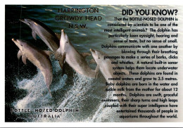 3-12-2023 (1 W 11) Australia - Bottle Nosed Dolphin - Dauphins