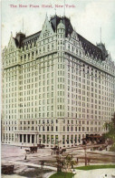 The New Plaza Hotel, 1910? - Bar, Alberghi & Ristoranti