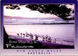 3-12-2023 (1 W 11) Australia - NSW - Evans Head Beach & Pelican (Posted With Xmas Stamp - Fold Right Inside) - Otros & Sin Clasificación