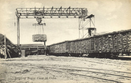 Cuba, Loading Sugar Cane (1910s) Postcard - Cuba