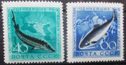 Russia  1959  Fishes  2 V  Mi. 2244 - 2245  MNH - Poissons