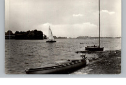 0-7551 JESSERN, Am Schwielochsee, Segelpartie, 1971 - Schwielowsee