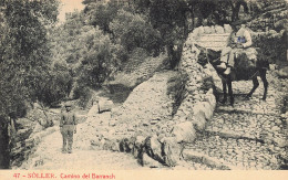 Soller Camino Del Barranch - Altri & Non Classificati