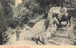 Soller Camino Del Barranch - Otros & Sin Clasificación