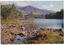 Loch-an-Eilean, Aviemore / Inverness-shire - (Scotland) - Inverness-shire