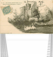 WW 86 LES TROIS-MOUTIERS. Canards Et Oies Près Des Ruines Du Château Montpensier à Vézières 1906 - Les Trois Moutiers