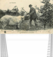 WW 24 EN PERIGORD. Groupe Sympathique Cherchant La Truffe 1904, La Bête Attendant Sa Récompense. Bon état - Périgueux