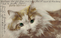 Carte A Systeme Tres Beau Chat Porte Bonheur Yeux En Verre  - Cats