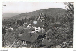 BLONAY:  PANORAMA  -  POUR  L' ITALIE  -  PHOTO  -  FP - Blonay - Saint-Légier