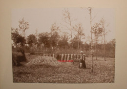 Lot 2 Photo 1890's Charbonniere Charbonnier Cannes Voilier Navire Alpes Maritimes (06)  Tirage Print Vintage - Profesiones