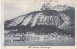 D9734) ALTAUSSEE Im Salzkammergut - Alte Bläuliche Ansicht  TOP - Ausserland