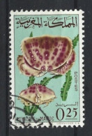 Maroc 1965 Flowers Y.T. 491 (0) - Morocco (1956-...)