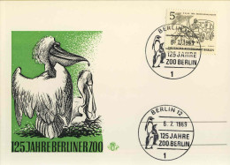 130  Manchot Pingouin: Oblit. Temp. D'Allemagne, 1969 - Penguin, Berlin Zoo: Pictorial Cancel From Germany. Pelican - Pinguïns & Vetganzen