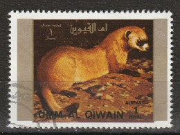 Umm Al Qiwain 1972 Animali Selvaggi - Wild Animals - Black-footed Ferret (Mustela Nigripes) CTO - Rongeurs