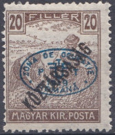 Hongrie Debrecen 1919 N° 20 * Semeurs Köztársaság  (J15) - Debreczen