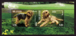 Bosnia And Herzegovina 2023 Fauna Dogs Barak Animals Pets, Block Souvenir Sheet MNH - Bosnia And Herzegovina