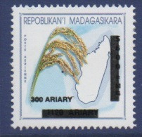 Madagascar Madagaskar 2008 Mi. 2653 Riz Bleu Blue Rice Blauer Rice Overprinted Surchargé Aufdruck Overprint MNH ** - Madagascar (1960-...)