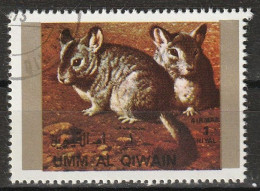 Umm Al Qiwain 1972 Animali Selvaggi - Wild Animals - Chinchilla (Chinchilla Sp.) CTO - Roedores