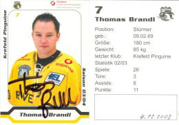 Autogramm Eishockey AK Thomas Brandl Krefeld Pinguine 03-04 Kölner Haie Düsseldorfer EG EC Bad Tölz Füchse Duisburg - Sports D'hiver