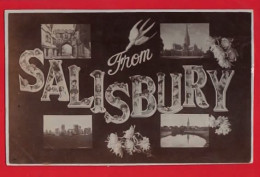 UK WILTSHIRE  SALISBURY   LARGE LETTER GREETING   RP + VIEWS  Pu 1908 - Salisbury