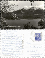 Ansichtskarte Villach Faakersee Mit Mittagskogel 2144 M. Kärnten 1964 - Otros & Sin Clasificación