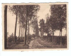 Waasmunster  Heide-Waasmunster   Landweg         Lusthof "Lekkerbek" - Waasmunster