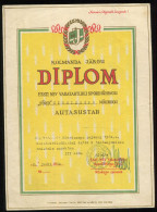 Estonia:Soviet Union:Swimming Diploma, Kingissepa JÕUD III Place, 1960 - Diplômes & Bulletins Scolaires