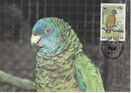 26100) St Lucia WWF 1987 Parrot Bird Maxi Postcard Cover - St.Lucia (1979-...)