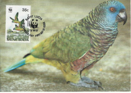 26101) St Lucia WWF 1987 Parrot Bird Maxi Postcard Cover - St.Lucia (1979-...)