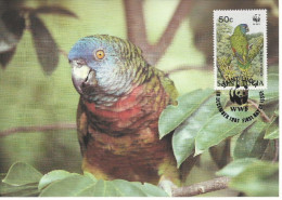 26102) St Lucia WWF 1987 Parrot Bird Maxi Postcard Cover - St.Lucie (1979-...)