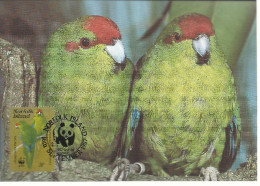 26111) Norfolk Island  WWF 1987 Parrot Bird Maxi Postcard Cover - Ile Norfolk