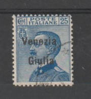 VENEZIA  GIULIA:  1918/19  SOPRASTAMPATO  -  25 C. AZZURRO  US. -  SASS. 24 - Venezia Giulia