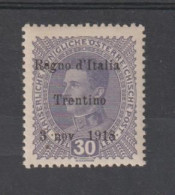 TRENTINO - A.A.:  1918  SOPRASTAMPATO  -  30 H. VIOLETTO  GRIGIO  N. -  FIRMATO  G. OLIVA  -  SASS. 9 - Trentino