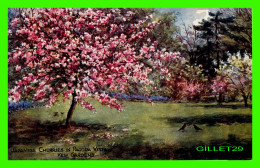 LONDON, UK - KEW GARDENS, JAPANESE CHERRIES IN PAGODA VISTA - J. SALMON LTD - - London Suburbs