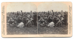 South Africa (Paardeberg) Boer War. Photo Stéréo 178x89 Mm. General Cronje's 4000 Boers After Their Surrender (GF3879) - Stereoscopic