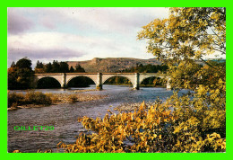 DUNKELD, PERTHSHIRE, SCOTLAND - THE TAY BRIDGE - W. S. THOMSON PHOTOGRAPH - - Perthshire