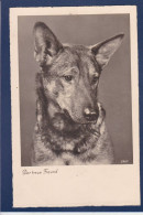CPA 1 Euro Chien Berger Allemand Dog écrite Prix De Départ 1 Euro - Honden