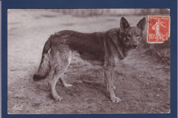 CPA 1 Euro Chien Berger Allemand Dog Circulée Prix De Départ 1 Euro - Honden