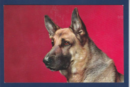 CPA 1 Euro Chien Berger Allemand Dog Non Circulée Prix De Départ 1 Euro - Honden