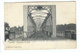 Temse Tamise   Perspective Du Pont 1904 - Temse