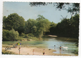 51 - ANGLURE - La Plage Et La Pointe De L'île - Ed. ESTEL N° F. 1.202-W Colorisée - Anglure