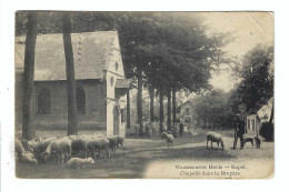 Waasmunter  Heide -  Kapel  Chapelle Dans La Bruyère 1915  DEUTSCHES REICH - Waasmunster