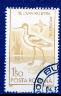 ROUMANIE - Timbre N°3923 Oblitéré - Used Stamps