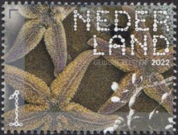 Netherlands 2022 - Mi 4084 (MNH) - Sugar Starfish (Asterias Rubens) - Altri & Non Classificati
